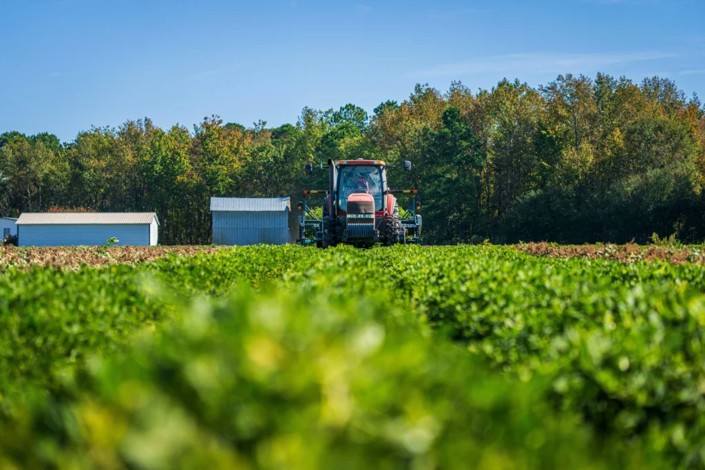 Equipo agroindustrial planeando un proceso de estructuración legal en los modelos de integración financiera