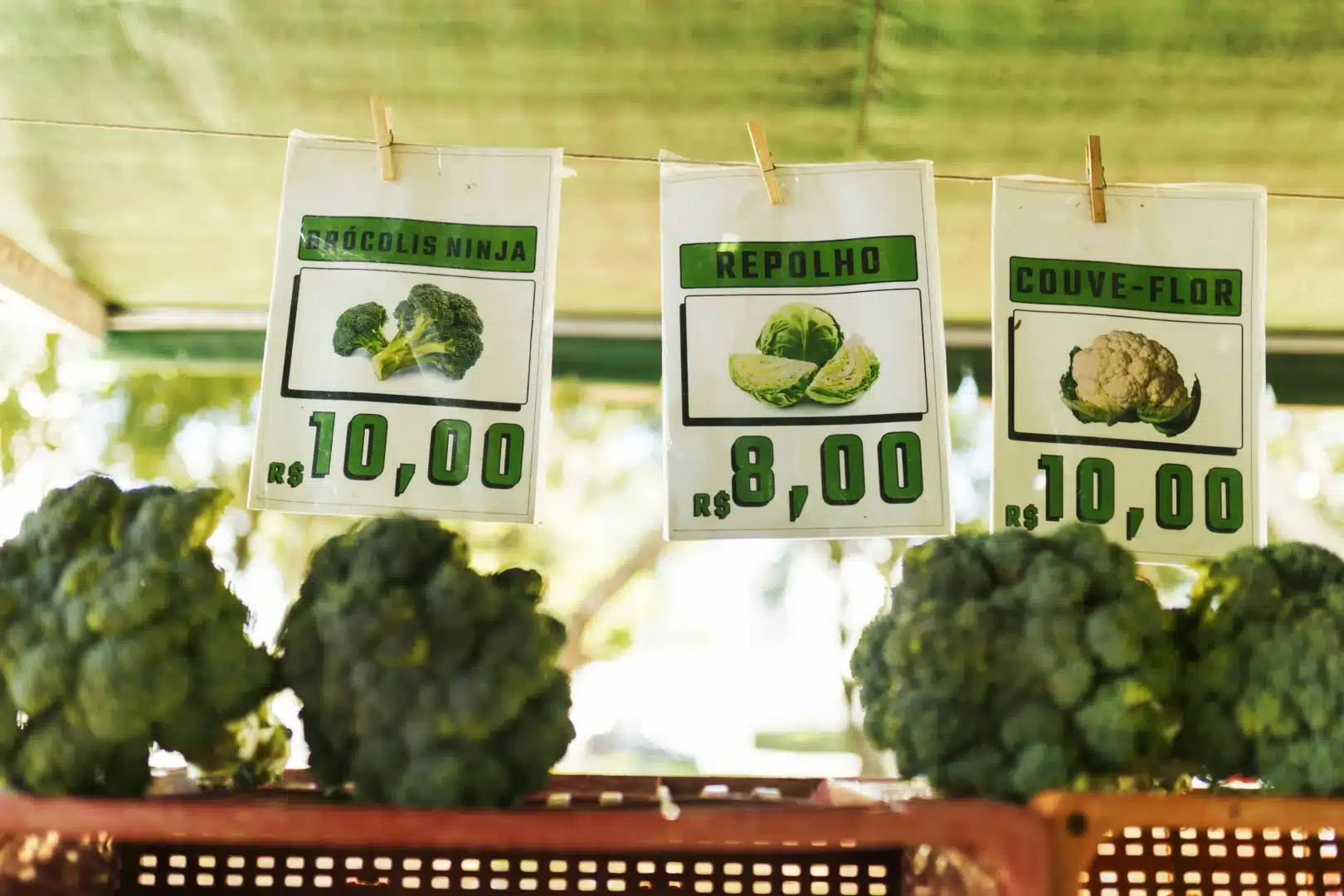 Precios en una tienda basados en inteligencia de precios y optimización con IA