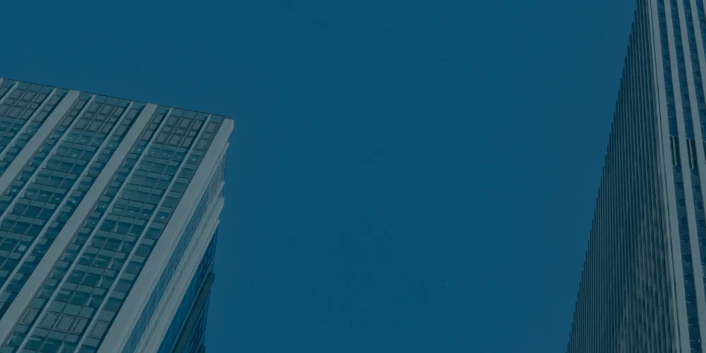 Empresas en las que se hace Vesting